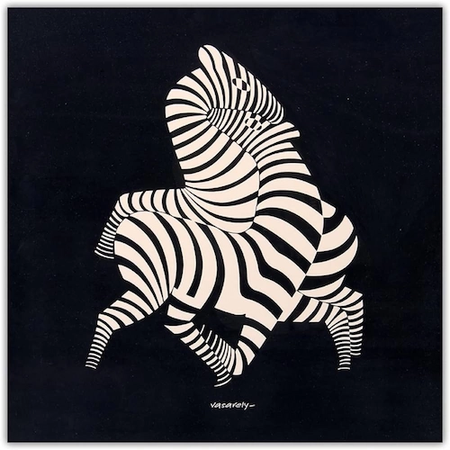 Zebra